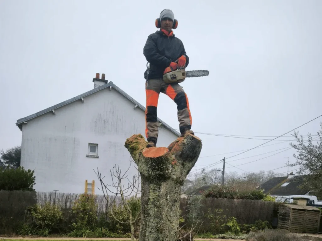 Rudy Capello élagueur professionnel debout sur un tronc d’arbre.